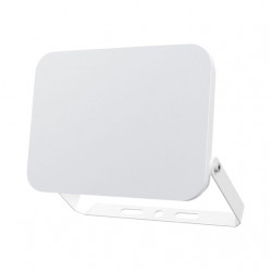 BRAYTRON CCT LED reflektor 100W