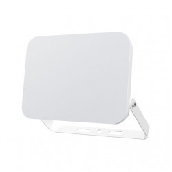 BRAYTRON CCT LED reflektor 50W