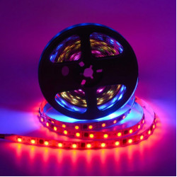 RGB pixel LED traka 60 LED/m WS16703 IP20 12V