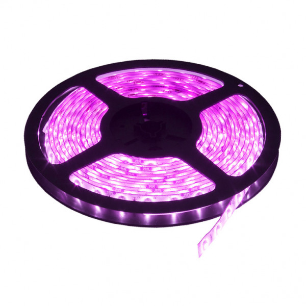 LED traka roza 60 LED / 1mLed trake