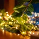 Lampice za jelku sa 20 toplo belih mikro LED dioda - Dekorativna rasveta