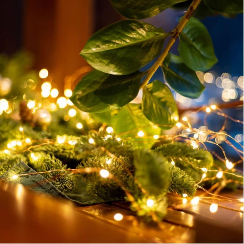 Lampice za jelku sa 30 toplo belih LED dioda - Lampice za jelku sa 30 toplo belih LED dioda -