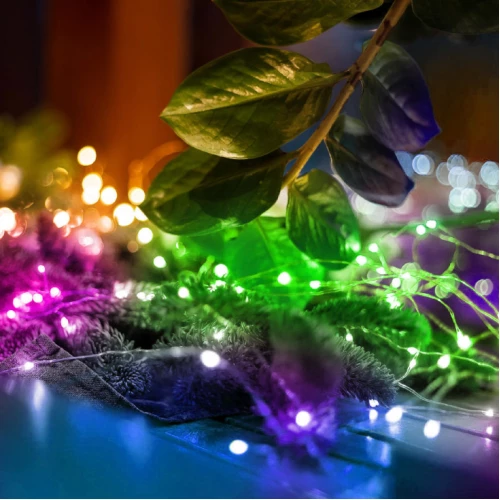Lampice za jelku sa 50 RGB LED dioda - Lampice za jelku sa 50 RGB LED dioda -