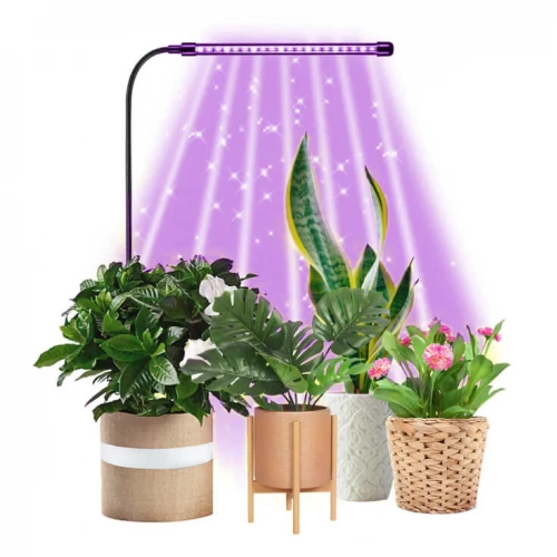 Jednostruka lampa za biljke 5W - Lampe za biljke Jednostruka lampa za biljke 5W - Lampe za biljke