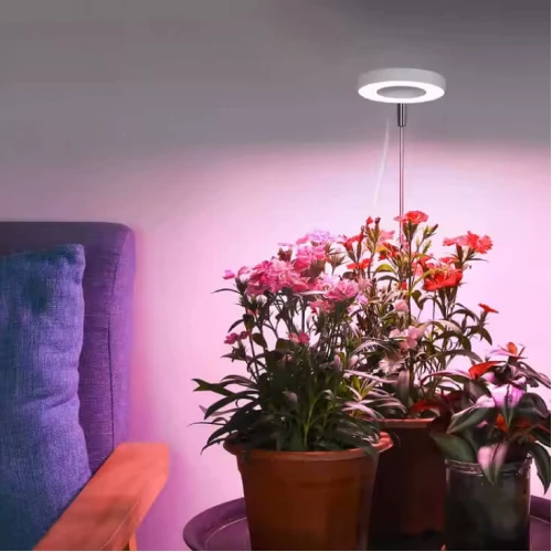 Jednostruka lampa za biljke 8W - Lampe za biljke Jednostruka lampa za biljke 8W - Lampe za biljke