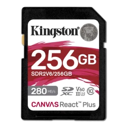 KINGSTON Memorijska kartica SDR2V6/256GB 256GB
