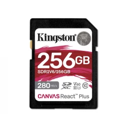 KINGSTON Memorijska kartica SDR2V6/256GB 256GB