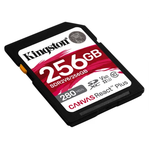KINGSTON Memorijska kartica SDR2V6/256GB 256GB - Hard disk za video nadzor KINGSTON Memorijska kartica SDR2V6/256GB 256GB - Hard disk za video nadzor