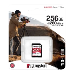 KINGSTON Memorijska kartica SDR2V6/256GB 256GB