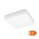 LED plafonjera 36W dnevna svetlost - Led plafonjere LED plafonjera 36W dnevna svetlost - Led plafonjere