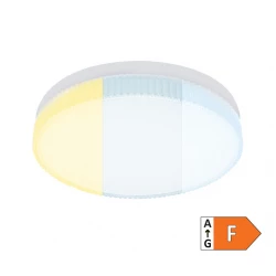 LED plafonjera 36W promenljiva boja svetla