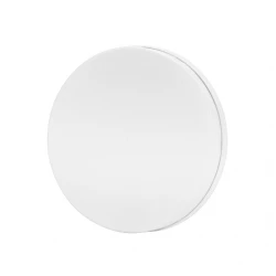 LED plafonjera okrugla 36W hladno bela