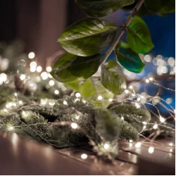 Lampice za jelku sa 20 LED dioda hladno belih