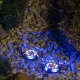 Solarna baštenska lampa - 4 kom. - Led spoljna rasveta Solarna baštenska lampa - 4 kom. - Led spoljna rasveta