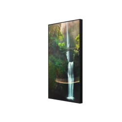 Hisense 55 inča Digital Signage displej 4K, 4.000 nita (DSS00269)