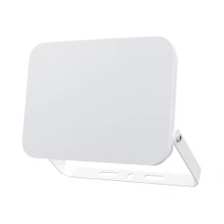BRAYTRON CCT LED reflektor 100W