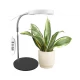 Jednostruka lampa za biljke 8W sa postoljem - Lampe za biljke