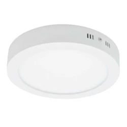LED Plafonjera 24W Dnevno Svetlo LNP-O24B/W