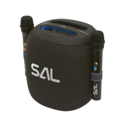 SAL PARCUBE Bluetooth party zvučnik 100W sa 2 mikrofona