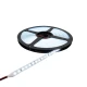 Prosto LED traka 12V 9,6W/m 6400K IP20 (LTR2835/120W-12E)