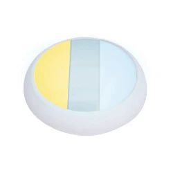 LED plafonjera bela 16 20 24W CCT IP65 IK10 spoljna E202233