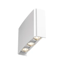 BRAYTRON zidna LED spoljna lampa CCT IP65 BG38-03380