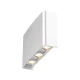 BRAYTRON zidna LED spoljna lampa CCT IP65 BG38-03380