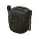 SAL PARCUBE Bluetooth party zvučnik 100W sa 2 mikrofona