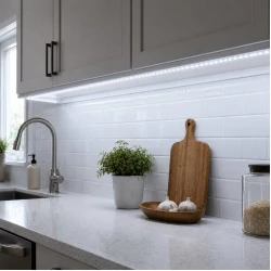 Prosto LED traka 12V 9,6W/m 6400K IP20 (LTR2835/120W-12E)