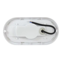 PROSTO ovalna LED spoljna svetiljka 24W hladno bela LBE5-240