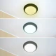 LED plafonjera crna 16 20 24W CCT IP65 IK10 spoljna E202234