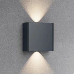 BRAYTRON zidna LED spoljna lampa CCT IP65 BG38-03182