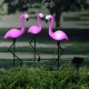 Solarne lampe flamingo, set 3 komada