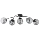 Mitea M11101-5 plafonski luster sa 5 dimljenih kugli, crni, 5xE27