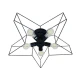 Mitea M10430-5 plafonska lampa zvezda, crna, 5xE27
