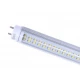 Led Neonka 1.5M Transparentna Led Neonka 1.5M Transparentna
