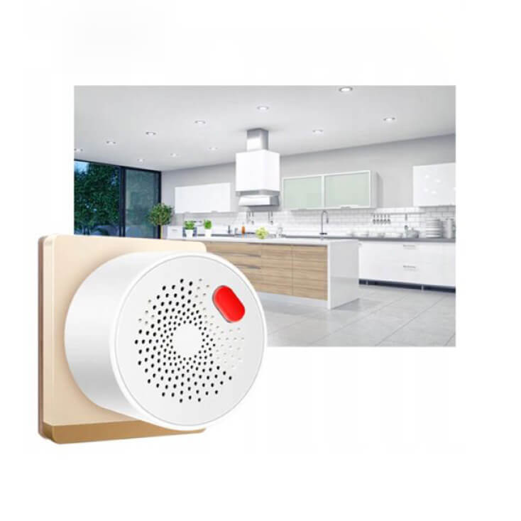 Wi-Fi smart senzor gasa sa sirenom - Alarm