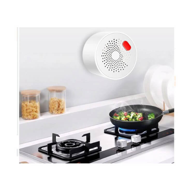 Wi-Fi smart senzor gasa sa sirenom - Alarm