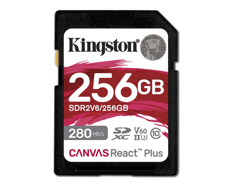 KINGSTON Memorijska kartica SDR2V6/256GB 256GB - Hard disk za video nadzor