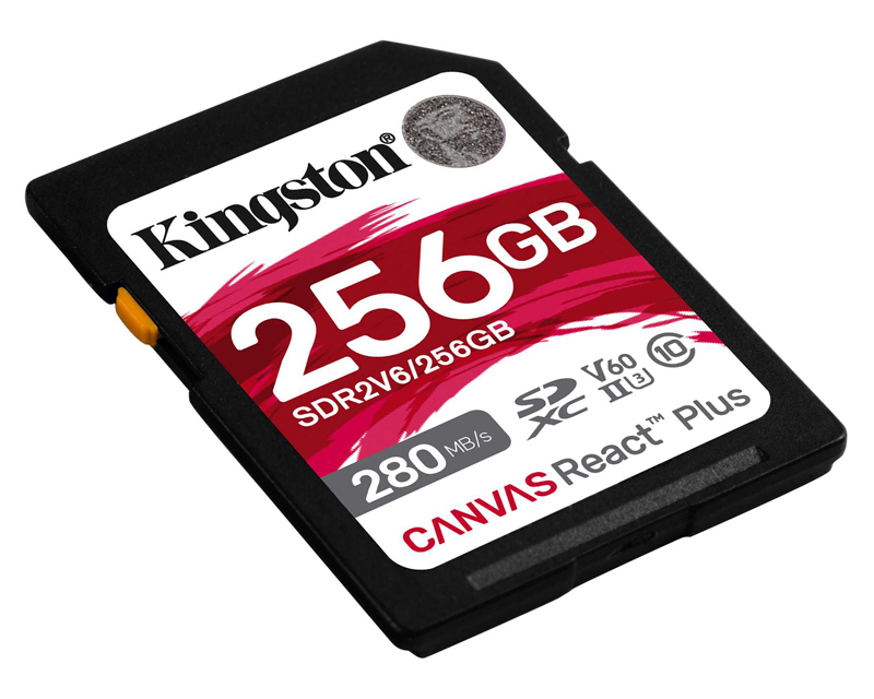 KINGSTON Memorijska kartica SDR2V6/256GB 256GB - Hard disk za video nadzor