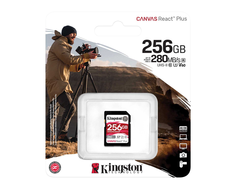 KINGSTON Memorijska kartica SDR2V6/256GB 256GB - Hard disk za video nadzor