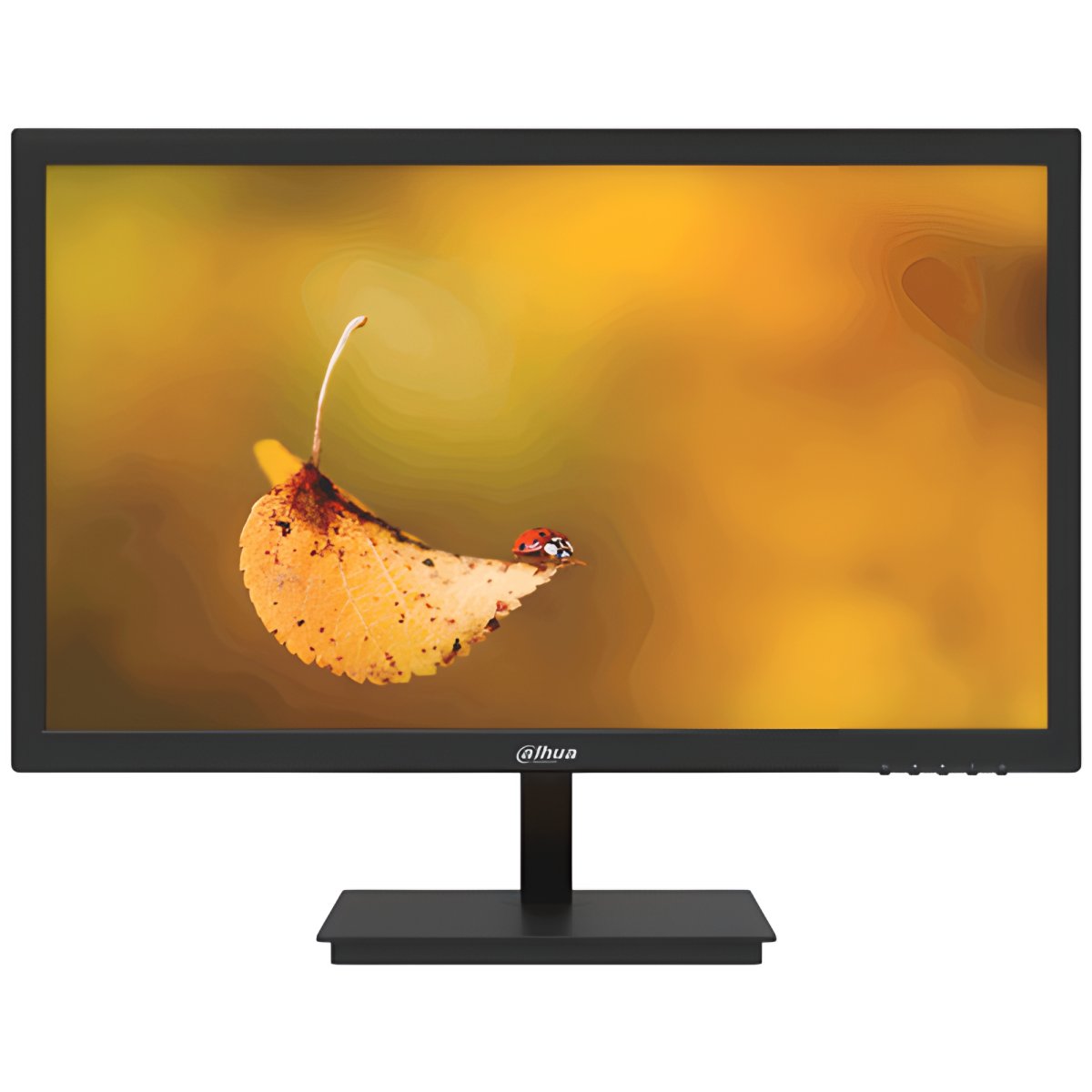 Dahua LM19-L200 profesionalni monitor 19 inča za video nadzor