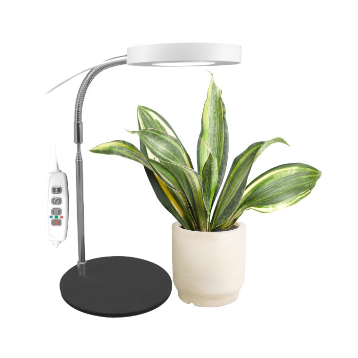 Jednostruka lampa za biljke 8W sa postoljem - Lampe za biljke