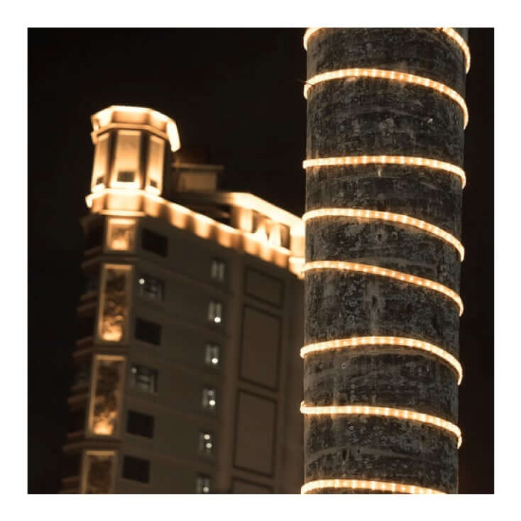 LED crevo toplo belo SVC-2L36D/WW | 2m dekor - Led trake