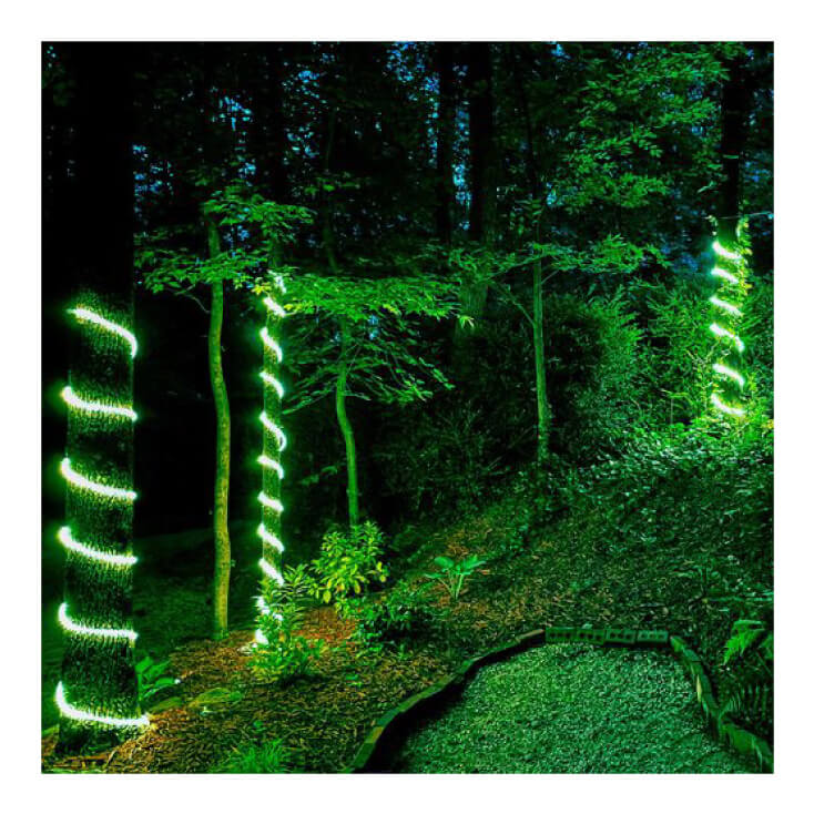 Zeleno LED crevo SVC-2L36D/G | Svetleće dekorativno - Led trake