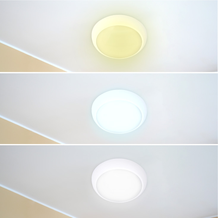 LED plafonjera bela 16 20 24W CCT IP65 IK10 spoljna E202233