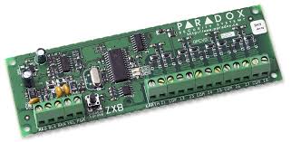 Zx8 Paradox